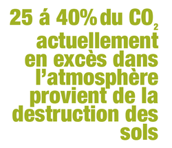 Sol 20-40 FR.png